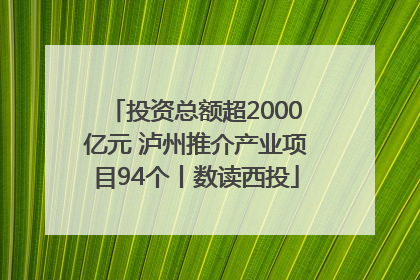 投资总额超2000亿元 泸州推介产业项目94个丨数读西投