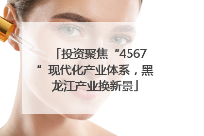 投资聚焦“4567”现代化产业体系，黑龙江产业换新景