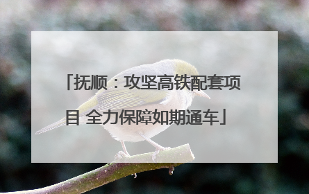 抚顺：攻坚高铁配套项目 全力保障如期通车