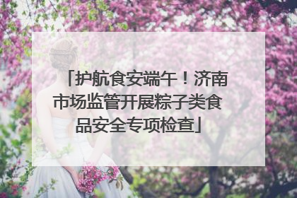 护航食安端午！济南市场监管开展粽子类食品安全专项检查