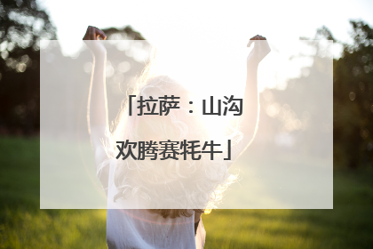 拉萨：山沟欢腾赛牦牛