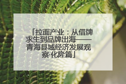拉面产业：从借牌求生到品牌出海——青海县域经济发展观察·化隆篇