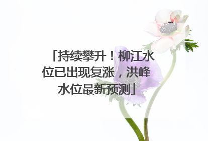 持续攀升！柳江水位已出现复涨，洪峰水位最新预测