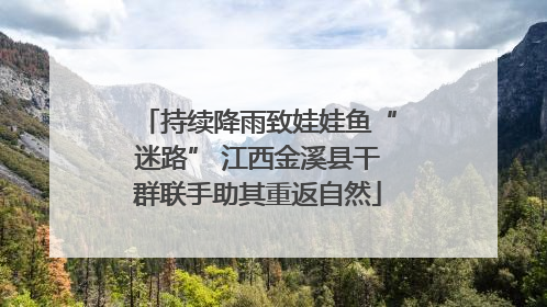 持续降雨致娃娃鱼“迷路” 江西金溪县干群联手助其重返自然