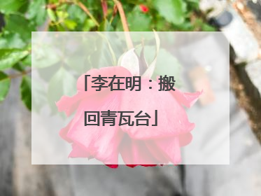 李在明：搬回青瓦台
