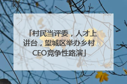 村民当评委，人才上讲台，望城区举办乡村CEO竞争性路演