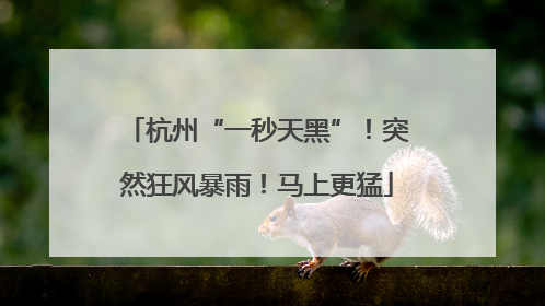 杭州“一秒天黑”！突然狂风暴雨！马上更猛