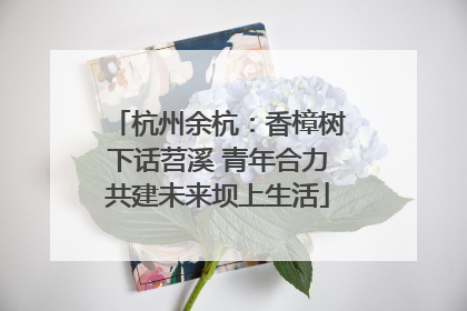 杭州余杭：香樟树下话苕溪 青年合力共建未来坝上生活