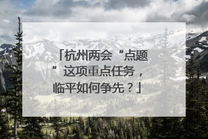 杭州两会“点题”这项重点任务，临平如何争先？