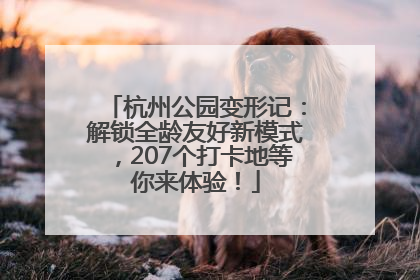 杭州公园变形记：解锁全龄友好新模式，207个打卡地等你来体验！