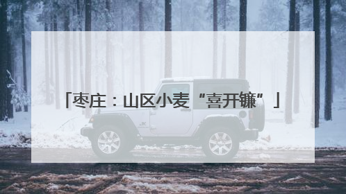 枣庄：山区小麦“喜开镰”