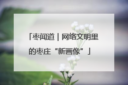 枣闻道｜网络文明里的枣庄“新画像”
