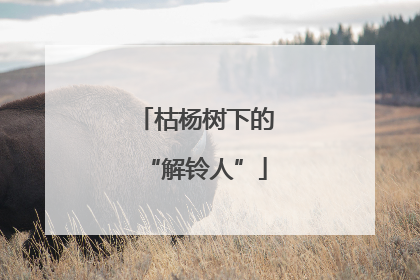 枯杨树下的“解铃人”