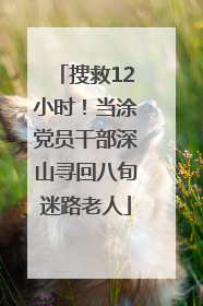 搜救12小时！当涂党员干部深山寻回八旬迷路老人