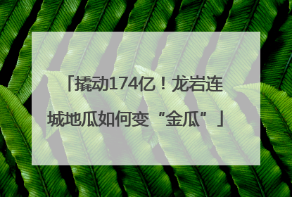 撬动174亿！龙岩连城地瓜如何变“金瓜”
