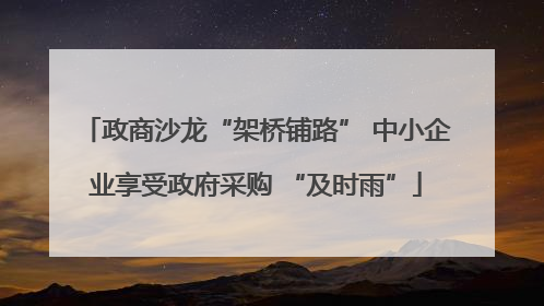 政商沙龙“架桥铺路” 中小企业享受政府采购 “及时雨”