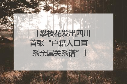 攀枝花发出四川首张“户籍人口直系亲属关系谱”