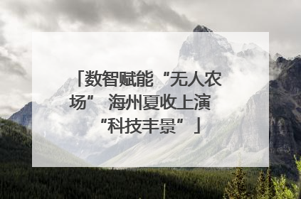 数智赋能“无人农场” 海州夏收上演“科技丰景”