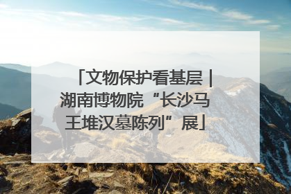 文物保护看基层｜湖南博物院“长沙马王堆汉墓陈列”展