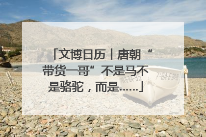 文博日历丨唐朝“带货一哥”不是马不是骆驼，而是……