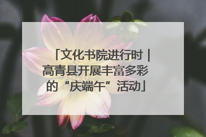 文化书院进行时｜高青县开展丰富多彩的“庆端午”活动