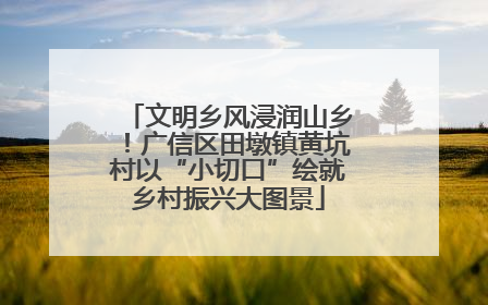 文明乡风浸润山乡！广信区田墩镇黄坑村以“小切口”绘就乡村振兴大图景