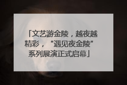 文艺游金陵，越夜越精彩，“遇见夜金陵”系列展演正式启幕