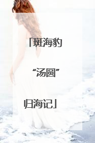 斑海豹“汤圆”归海记
