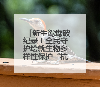 新生鸳鸯破纪录！全民守护绘就生物多样性保护“杭州样本”