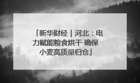 新华财经｜河北：电力赋能粮食烘干 确保小麦高质量归仓