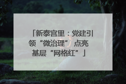 新泰宫里：党建引领“微治理” 点亮基层“网格红”