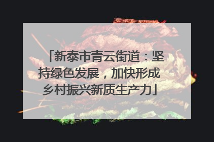 新泰市青云街道：坚持绿色发展，加快形成乡村振兴新质生产力