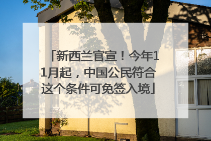 新西兰官宣！今年11月起，中国公民符合这个条件可免签入境