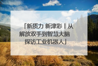 新质力 新津彩丨从解放双手到智慧大脑 探访工业机器人