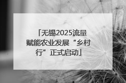 无锡2025流量赋能农业发展“乡村行”正式启动