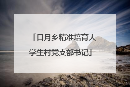 日月乡精准培育大学生村党支部书记