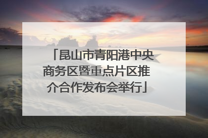 昆山市青阳港中央商务区暨重点片区推介合作发布会举行