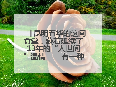 昆明五华的这间食堂，藏着延续了13年的“人世间”温情——有一种叫云南的生活之365天