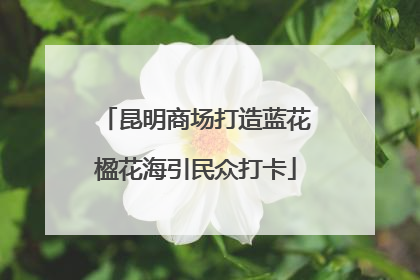 昆明商场打造蓝花楹花海引民众打卡