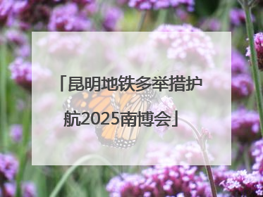 昆明地铁多举措护航2025南博会