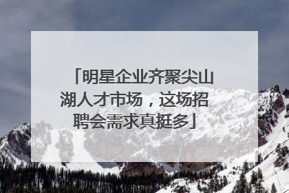 明星企业齐聚尖山湖人才市场，这场招聘会需求真挺多