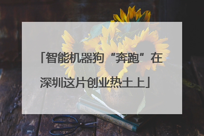 智能机器狗“奔跑”在深圳这片创业热土上