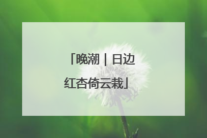 晚潮｜日边红杏倚云栽