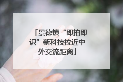 景德镇“即拍即识”新科技拉近中外交流距离