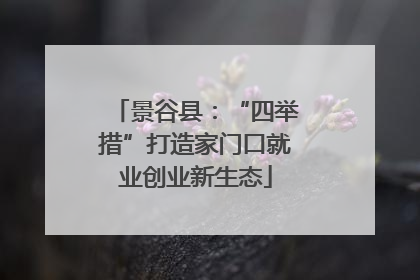 景谷县：“四举措”打造家门口就业创业新生态