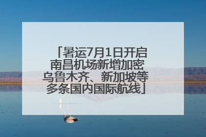 暑运7月1日开启 南昌机场新增加密乌鲁木齐、新加坡等多条国内国际航线