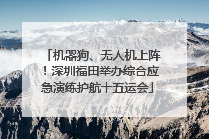 机器狗、无人机上阵！深圳福田举办综合应急演练护航十五运会
