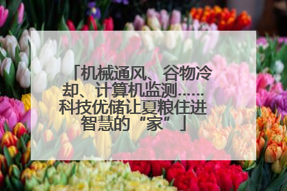 机械通风、谷物冷却、计算机监测……科技优储让夏粮住进智慧的“家”
