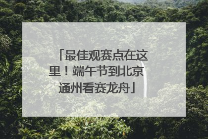 最佳观赛点在这里！端午节到北京通州看赛龙舟