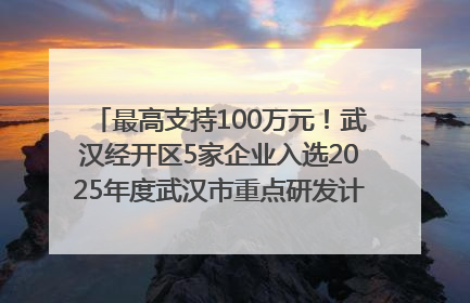 最高支持100万元！武汉经开区5家企业入选2025年度武汉市重点研发计划拟立项项目名单